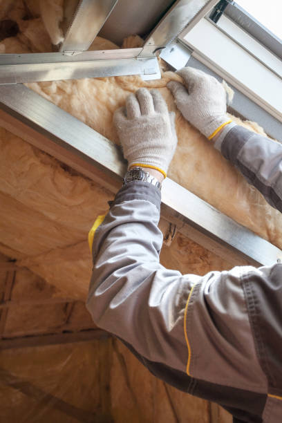 Best Insulation Installation Services in Belvidere, NJ